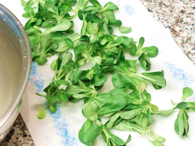 Place the lamb's lettuce dry on paper towels.