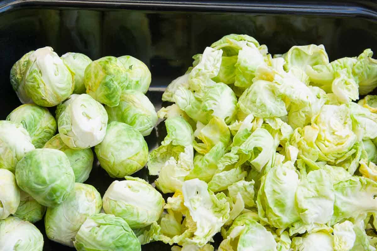 Brussels sprouts as side dish for deer ragout