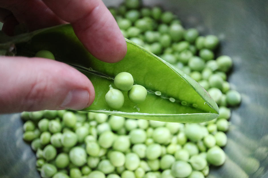 Clean the free peas, remove the peas from the pods.