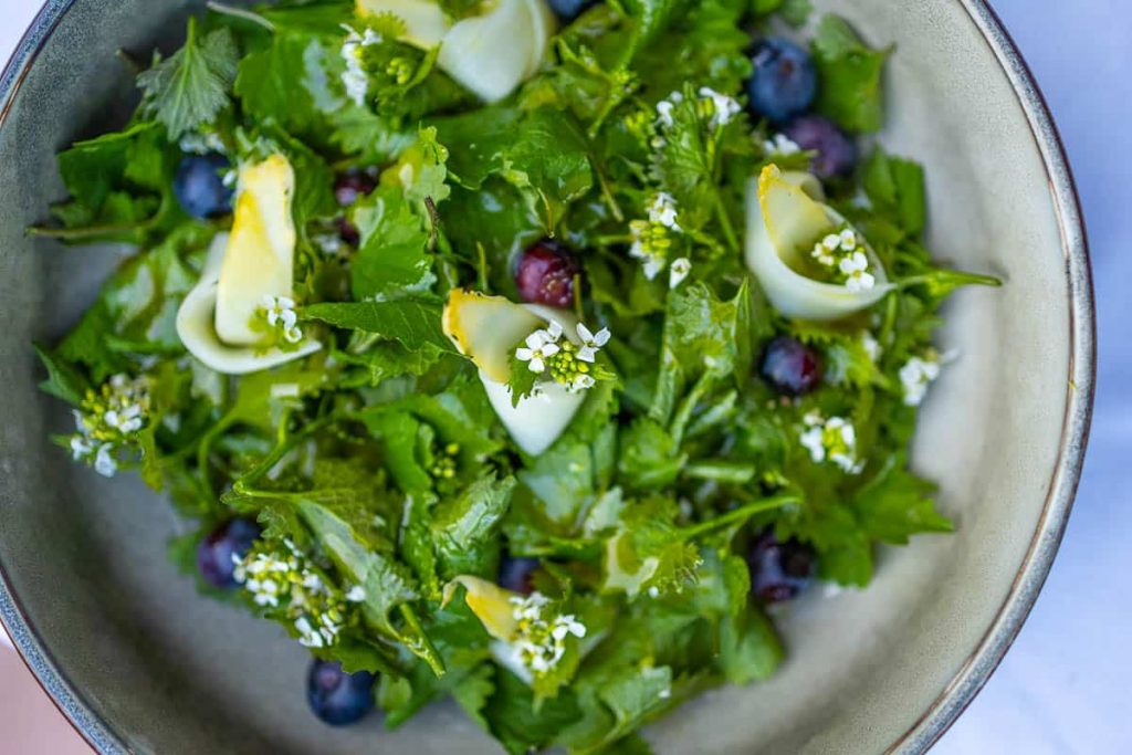 Leek salad with asparagus and blueberries