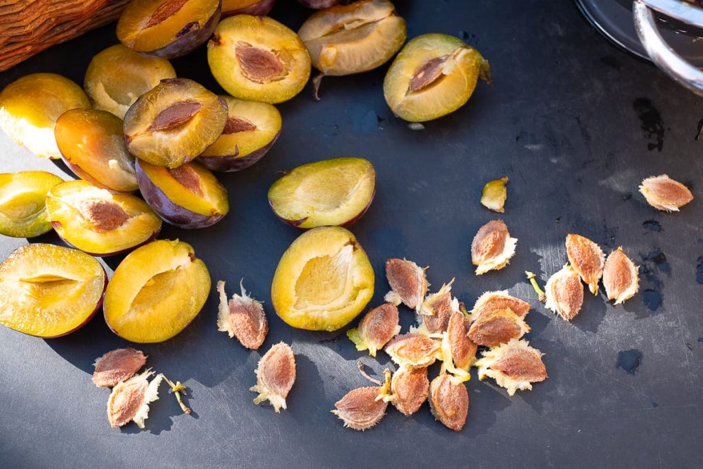 Plum kernels removed from the fruit