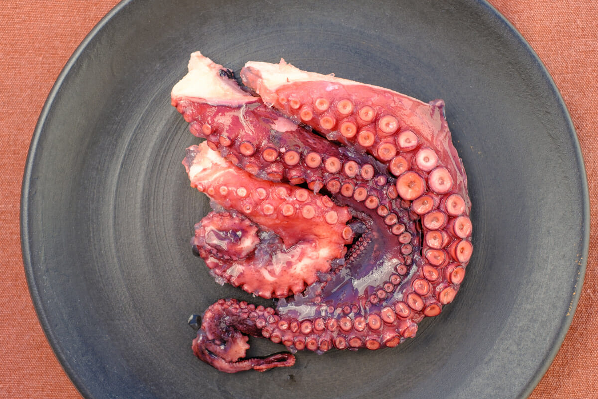 Cooked octopus