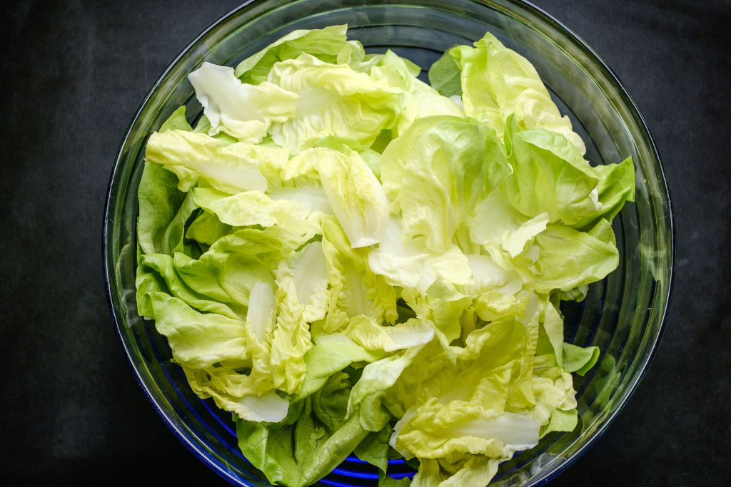 Prepared plucked lettuce in the bowl
