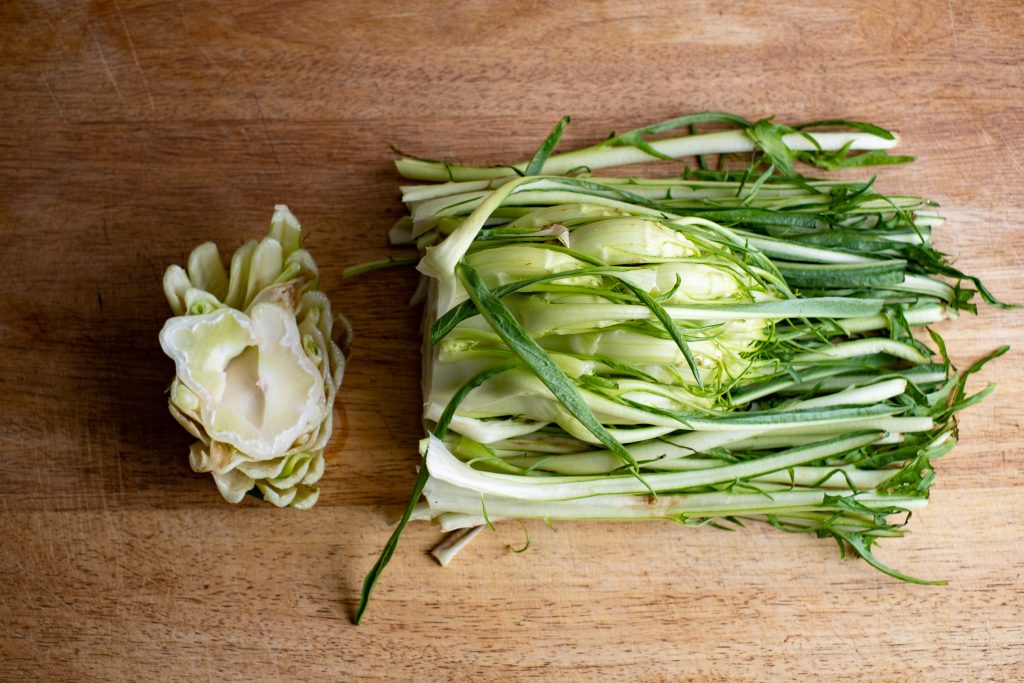 Cut off the puntarelle root